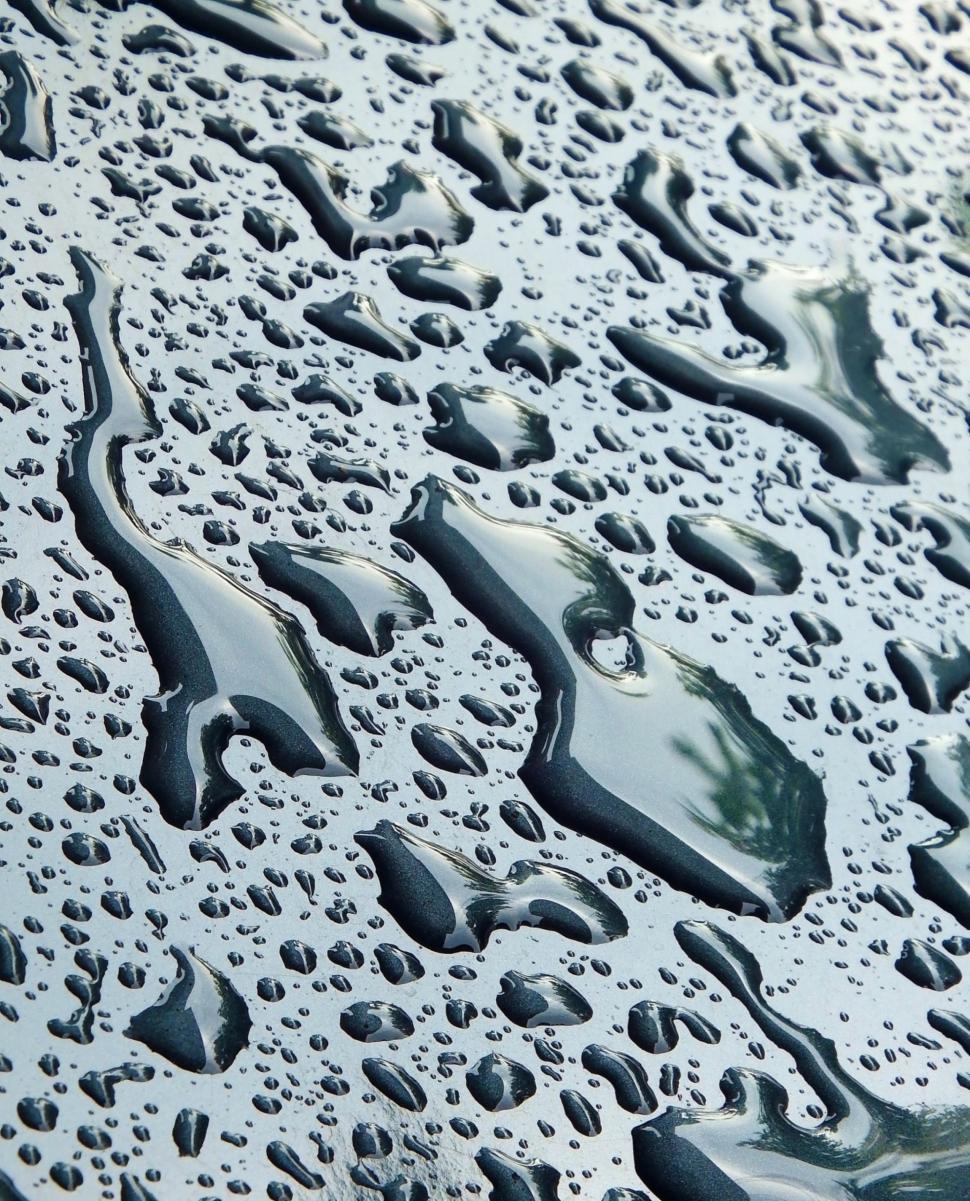 Free Image of Abstract Water Droplets Texture  