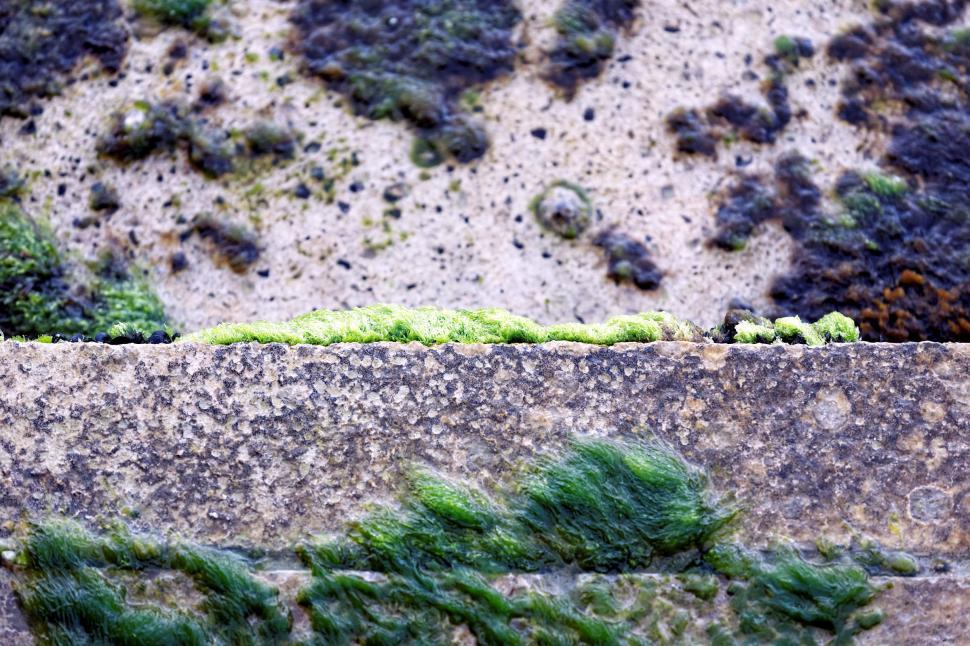 Free Image of Waterfront detail  