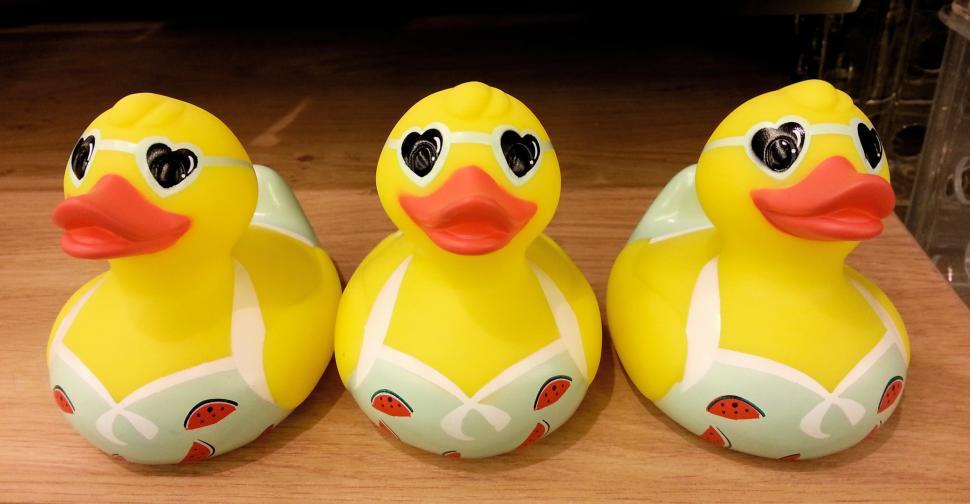 Free Image of Three Little Ducks  