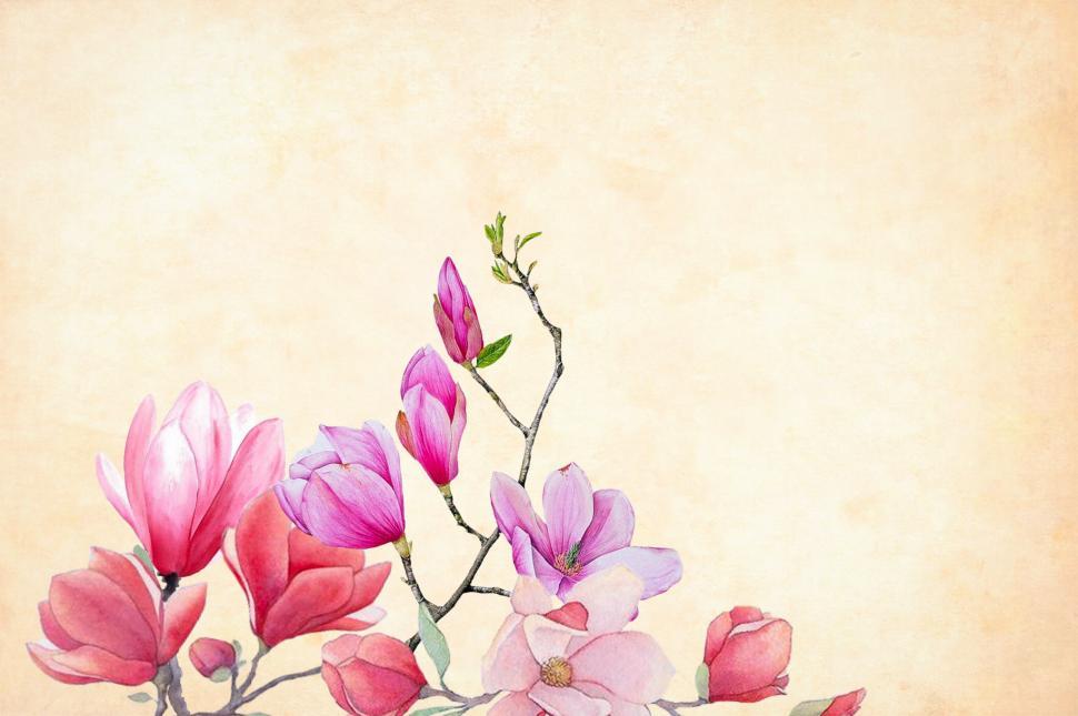 Free Image of flowers over cream colored background  
