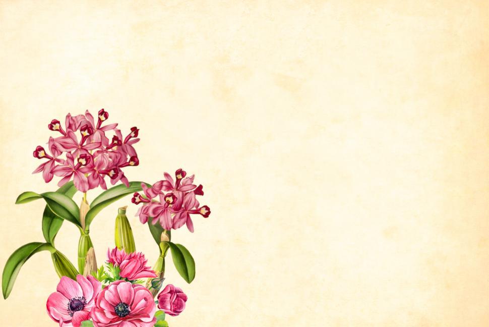Free Image of Flower Background  