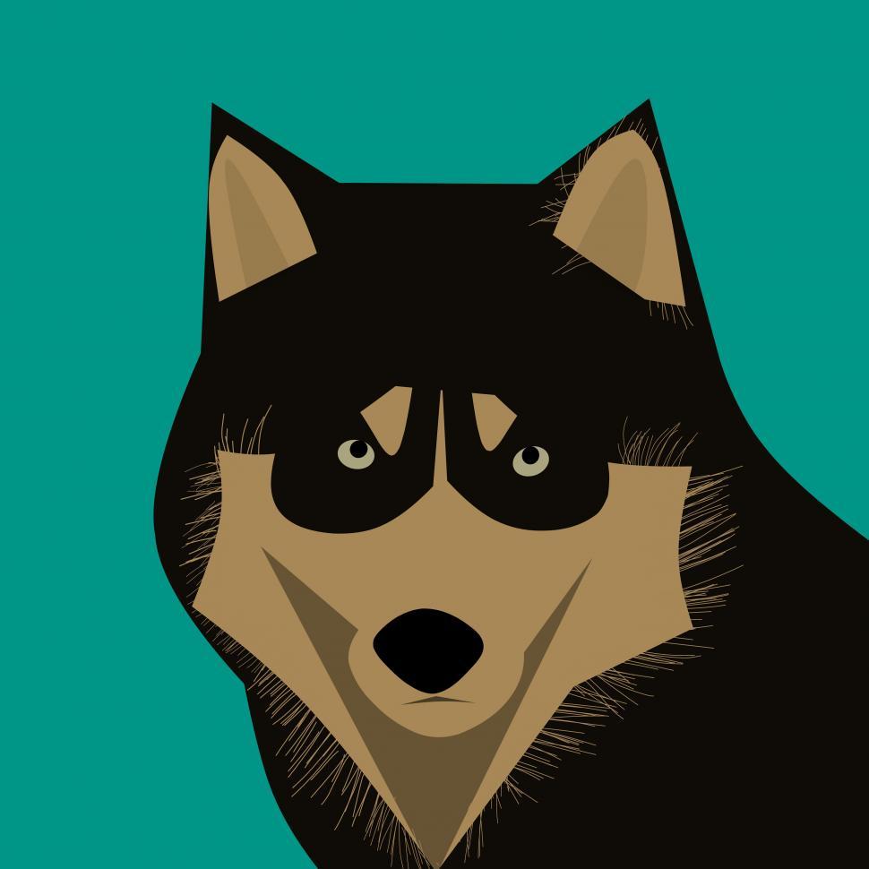 Free Image of dog husky animal  