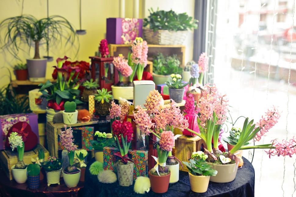 Free Image of A flower shop display section with variety of flowers and plants 