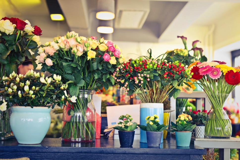 Free Image of A flower shop display section with variety of flowers 