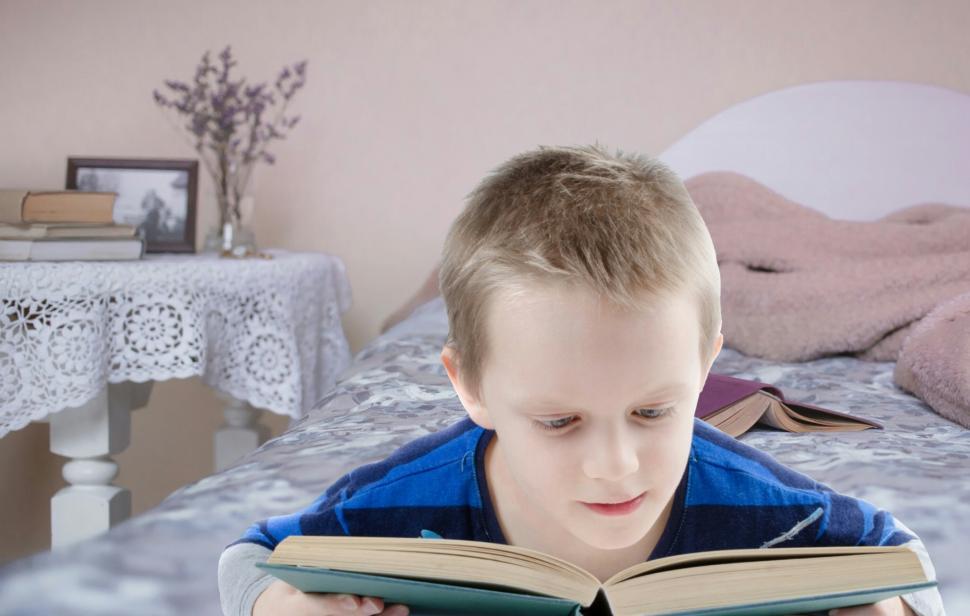 Free Image of boy reading  