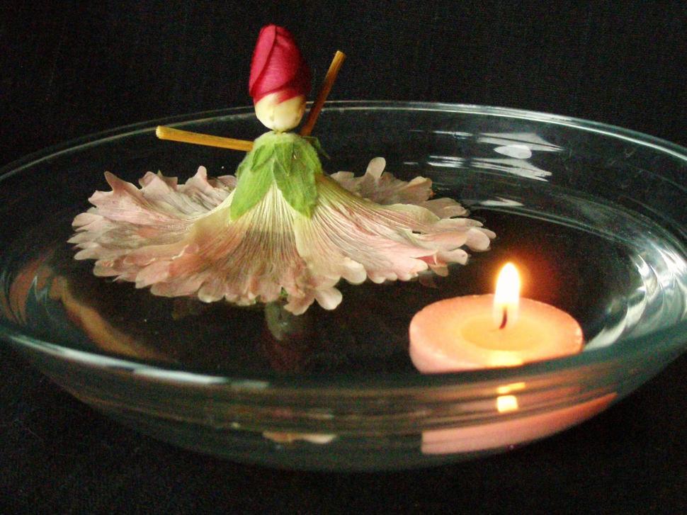 Free Image of Hollyhock Doll Centerpiece 