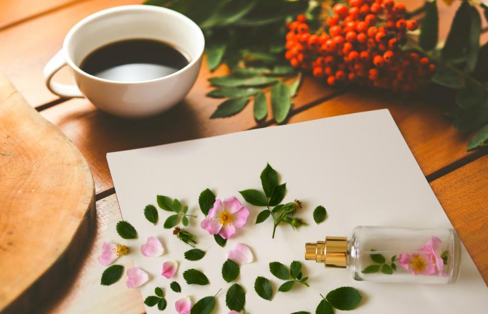 Free Image of perfume bottle   