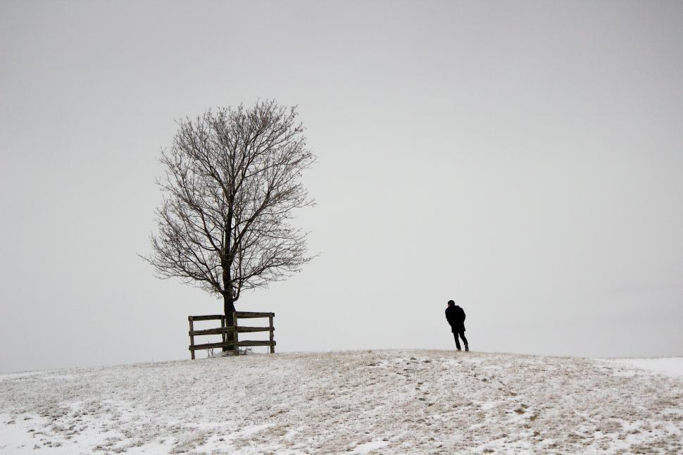 Free Image of A figure and a snowy tree 