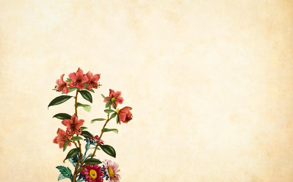 Free Image of Simple Flower Background  