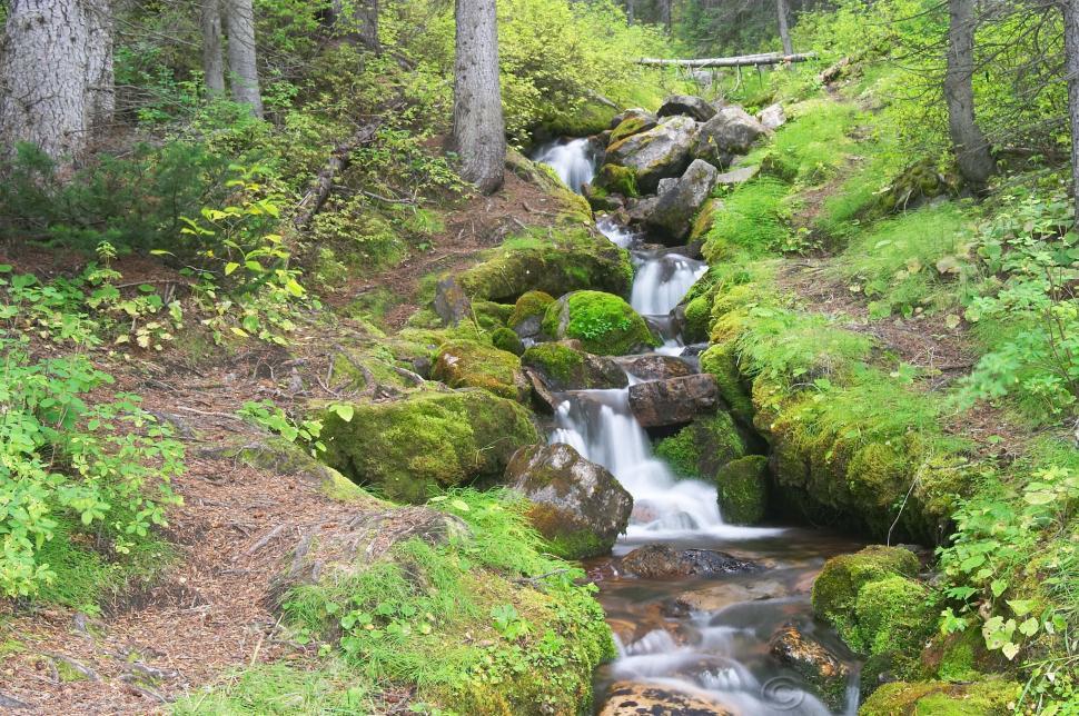 Free Image of Roadside Stream 