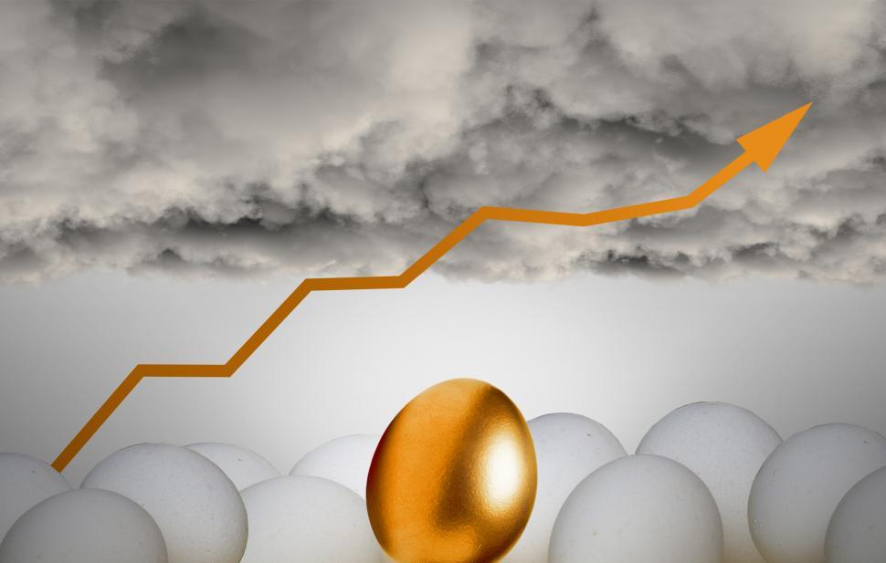 Free Image of Golden Egg - Savings - Investments 