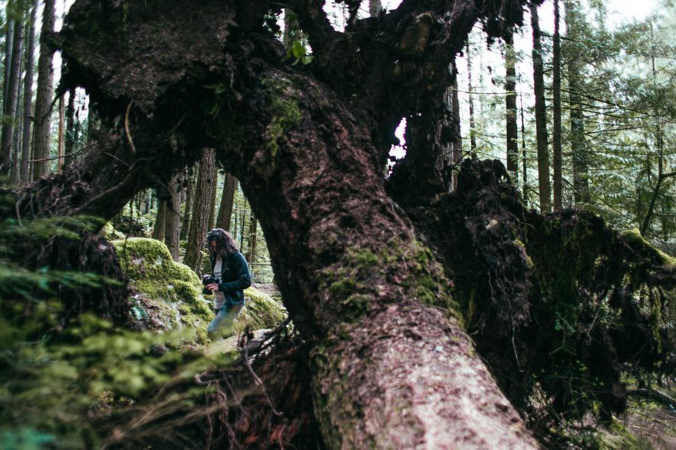 Free Image of A photographer in the forest 