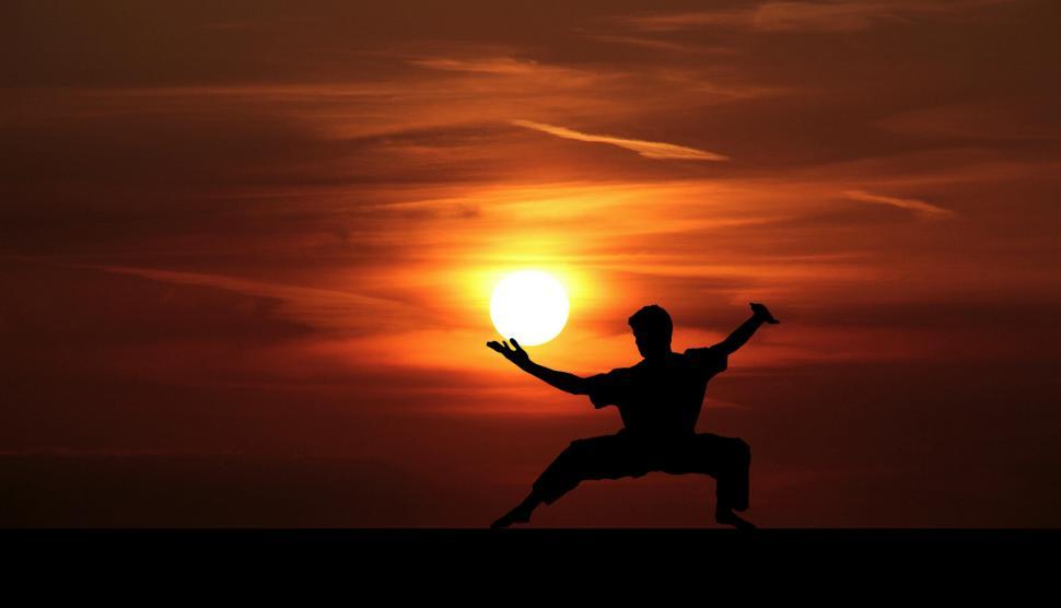 Free Image of Kung Fu Silhouette  