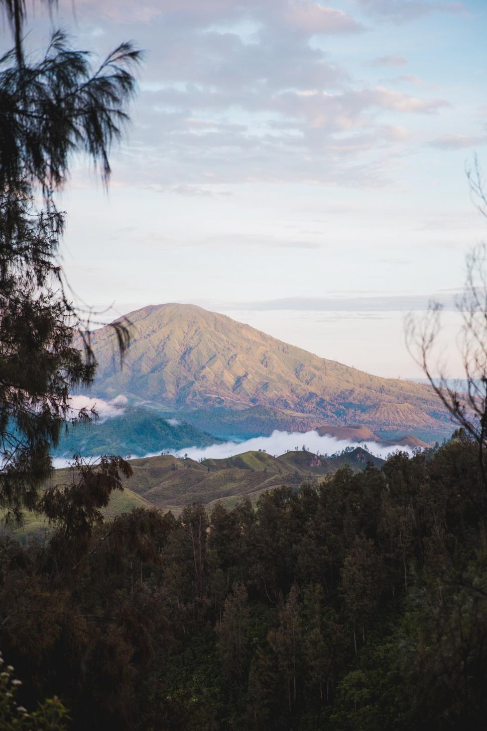 Free Image of Forest mountains surrounded by trees 
