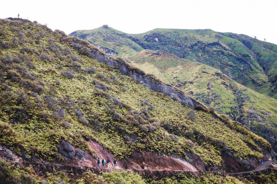 Free Image of Green mountain trail 