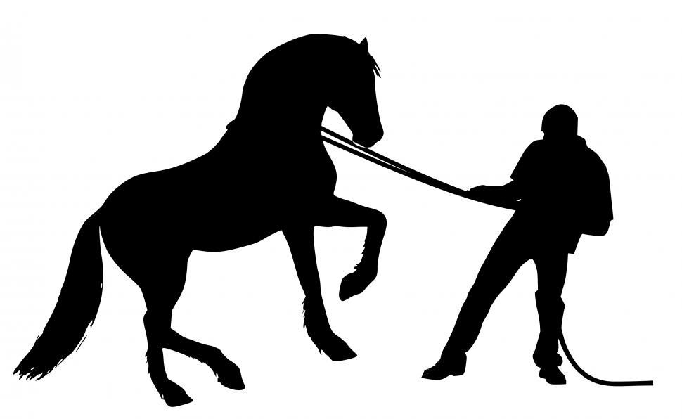 Free Image of horse Training  