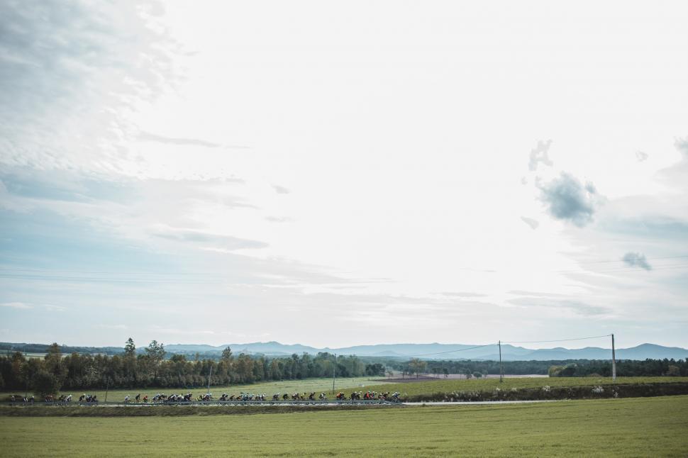 Free Image of Bicycle race on a country road 