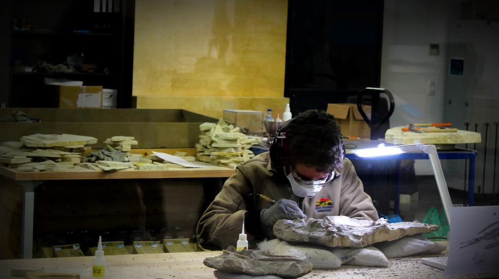 Free Image of Paleontologist Working on Ichthyosaur Fossil - Lourinha - Portug 