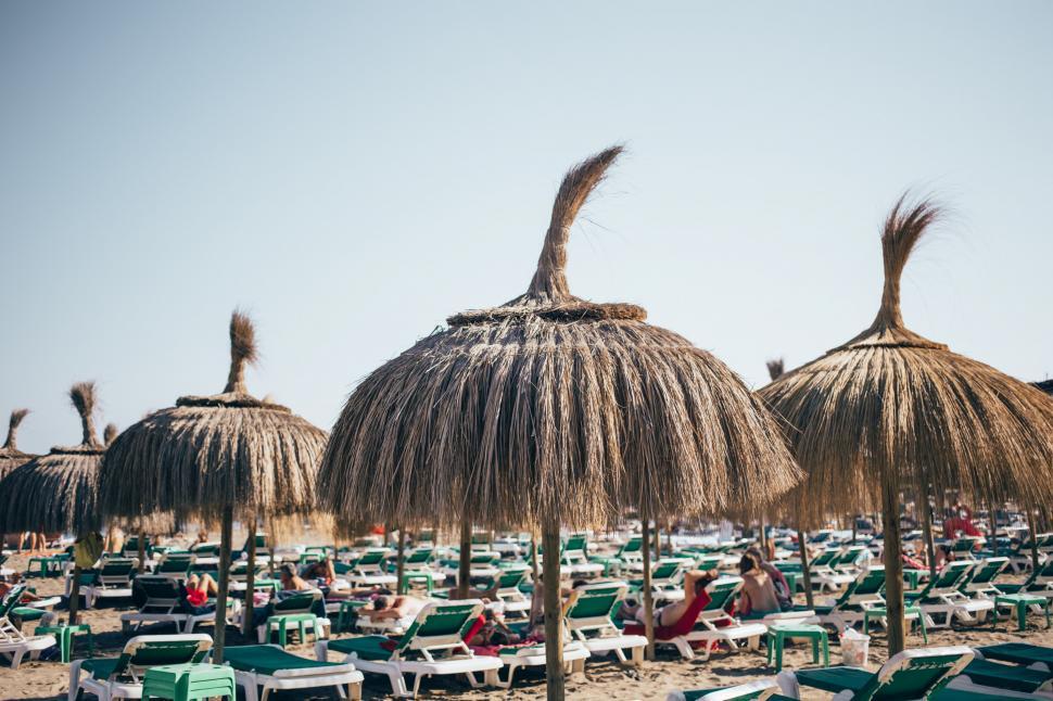 Free Image of Grass umbrellas on the beach resort 