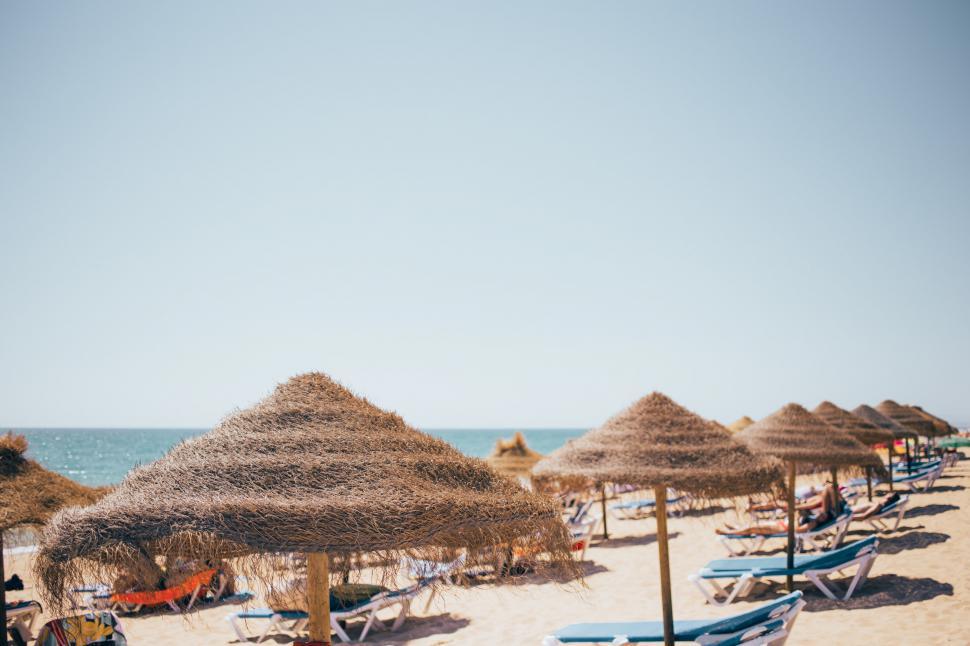 Free Image of Dry grass beach shades 