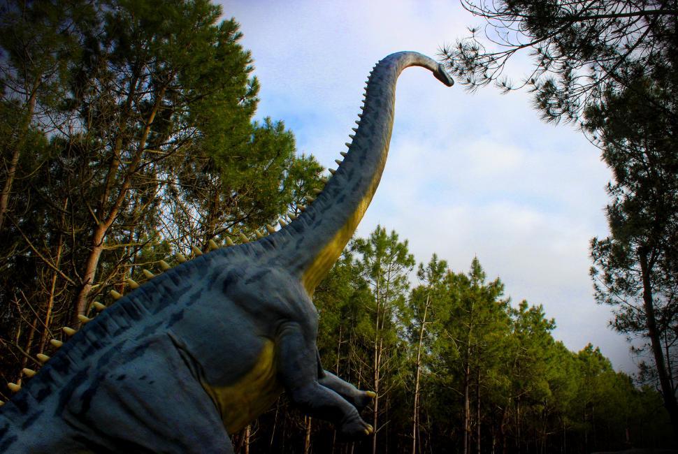 Free Image of Diplodocus - Dinosaurs - Sauropod - Jurassic 