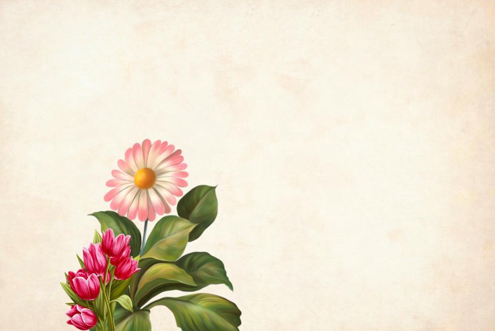 Free Image of flower Background - Green Leaves and Two Types 
