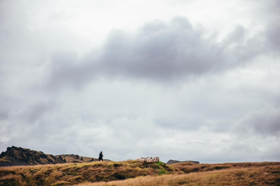 Free Image of A shepherd with sheep on Arctic grasslands 