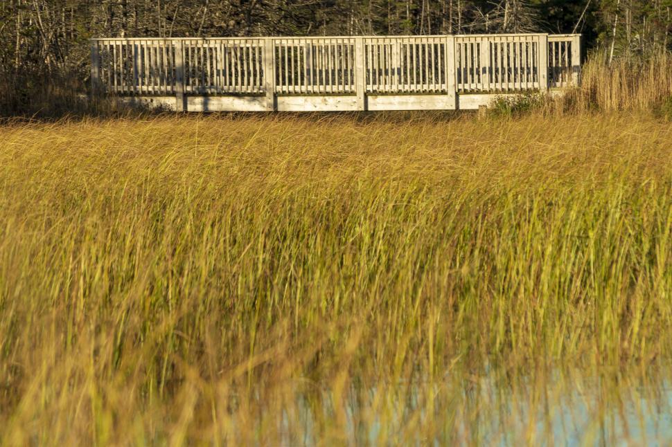 Free Image of Bridge on a walking trail 