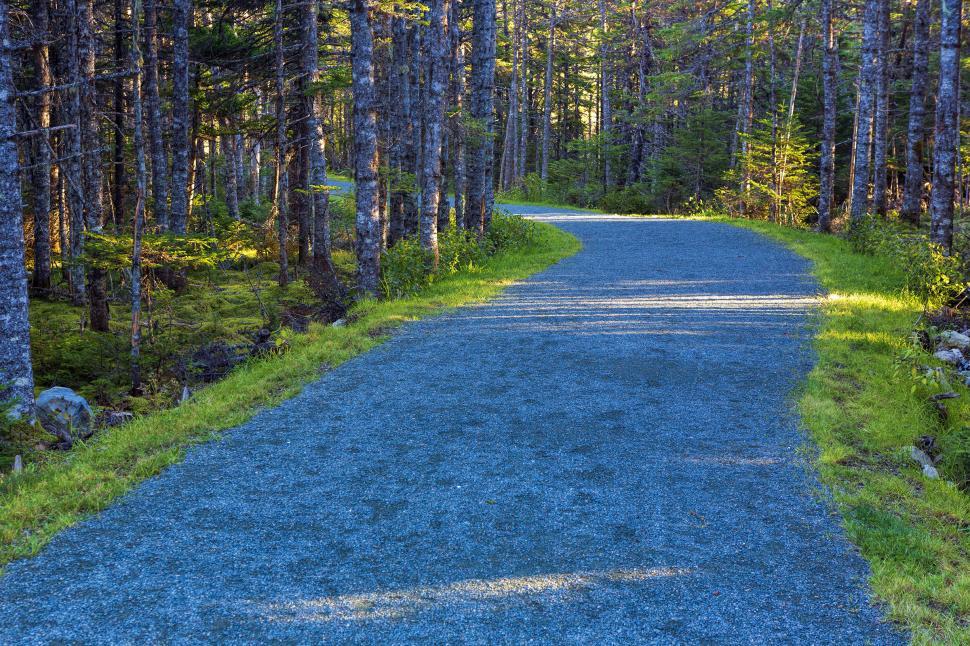 Free Image of Hiking trail 