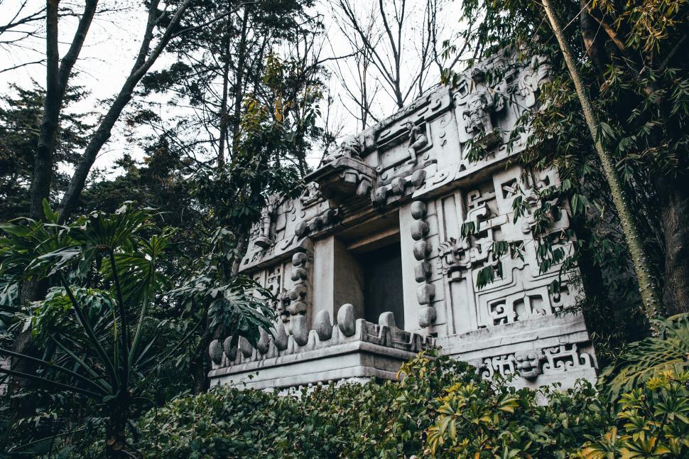 Free Image of Mayan ruins in the forest 