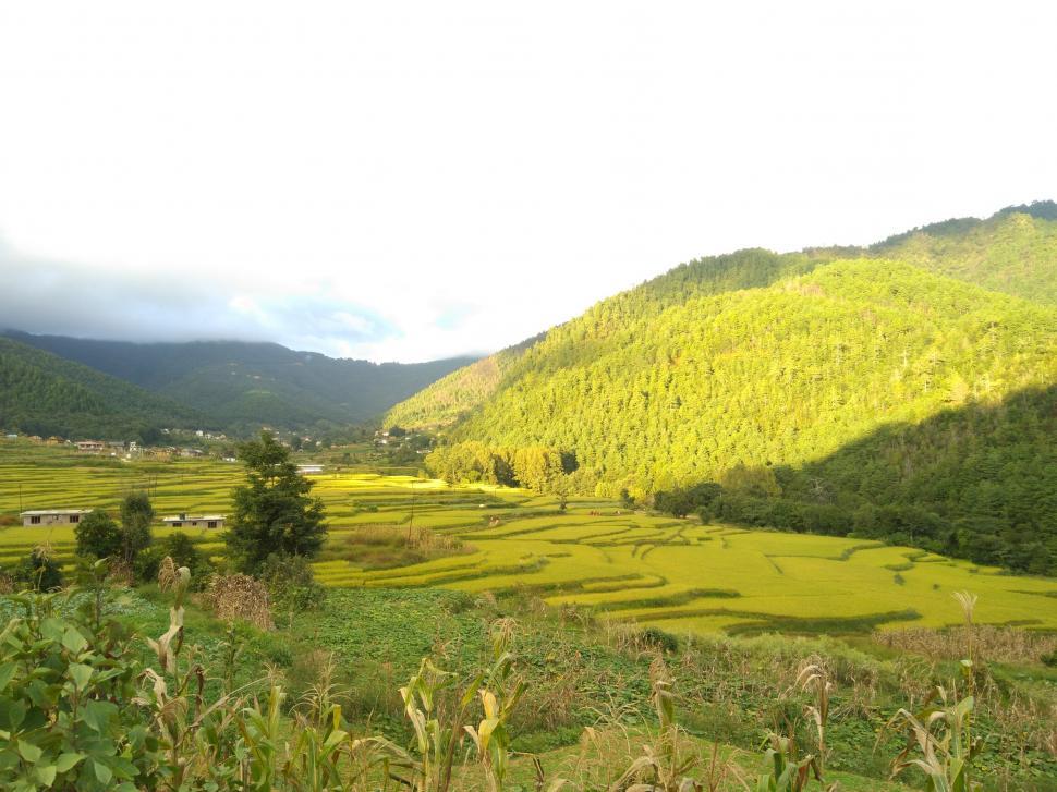 Free Image of Fresh Place  