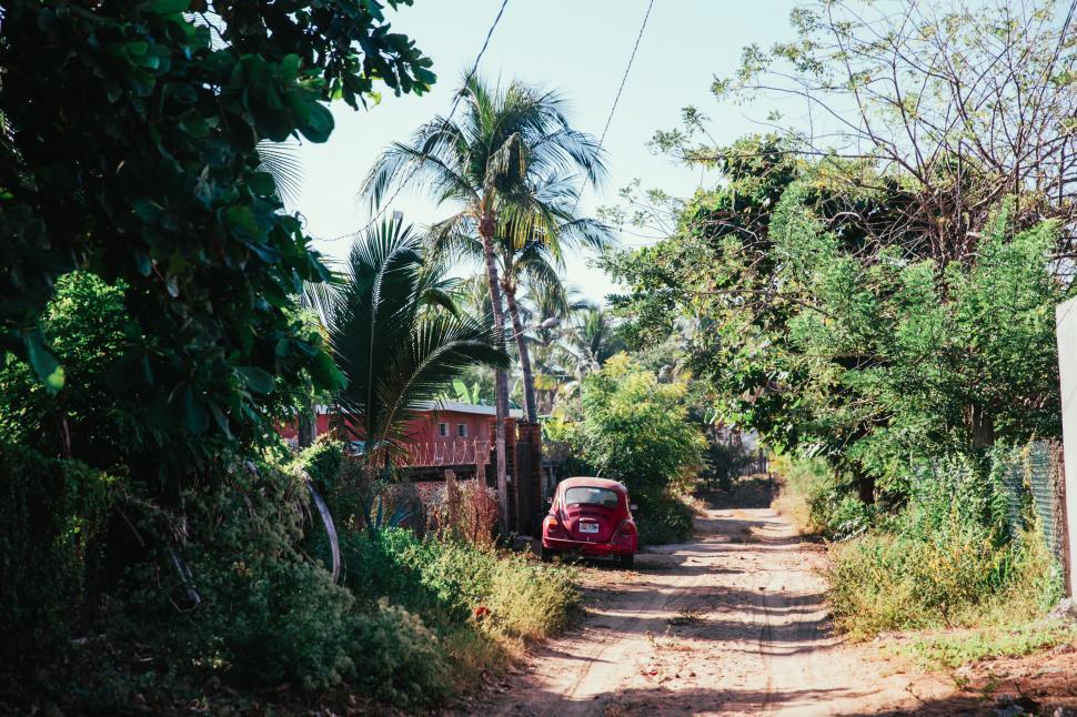 Free Image of A dirt road through tropical greenery 