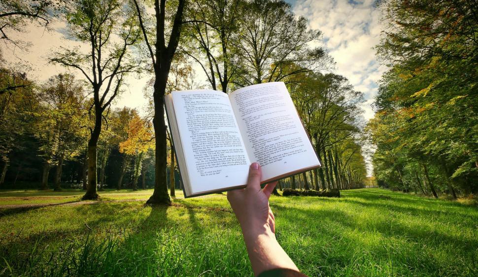 Free Image of reading books   