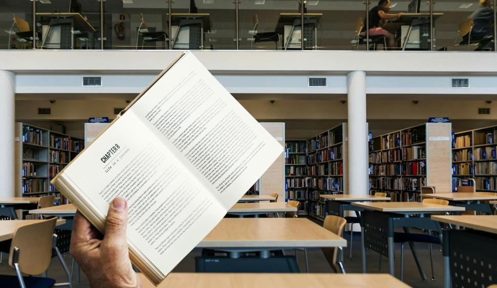 Free Image of learning in library  