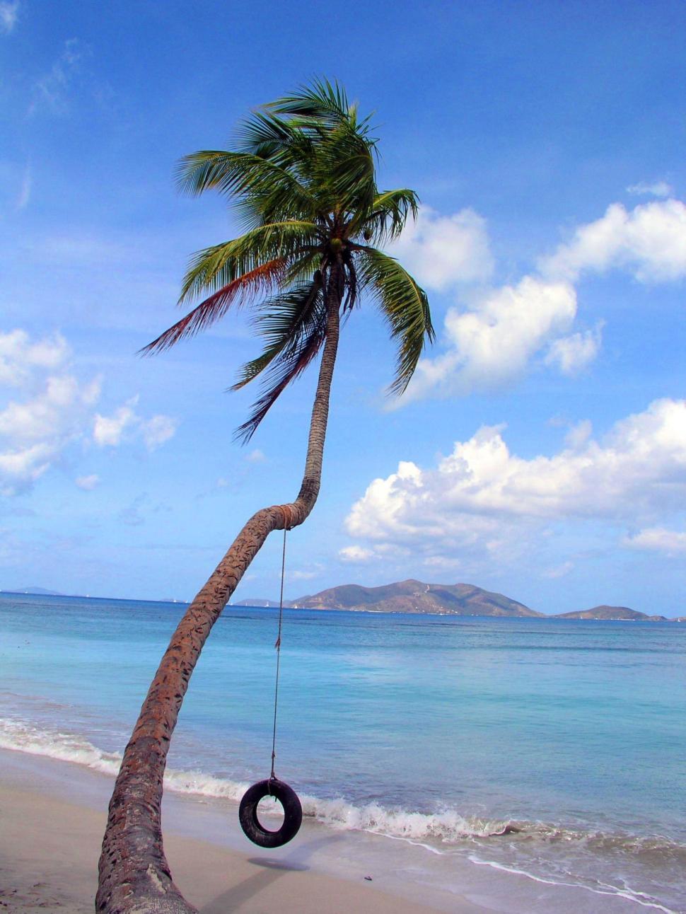 Free Image of Tire Swing 