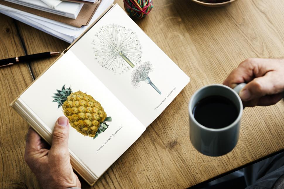 Free Image of Close up of a person s hands holding a botany book and a coffee 
