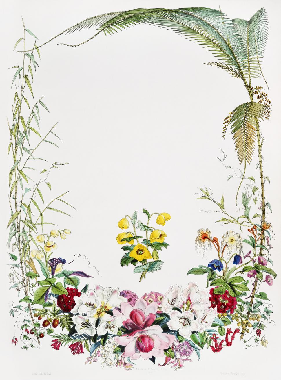Free Image of Antique floral card design 
