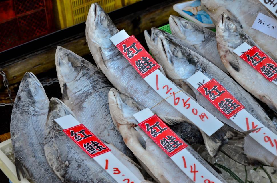 Free Image of Fresh Fish Laid out at Japanese Market  