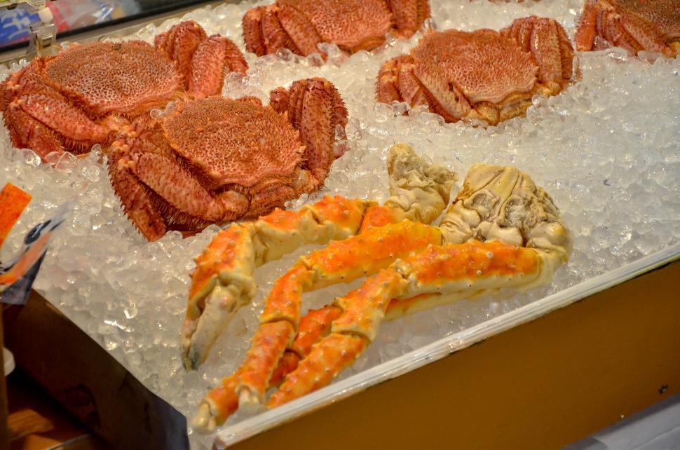 Free Image of Fresh Crab at Market  