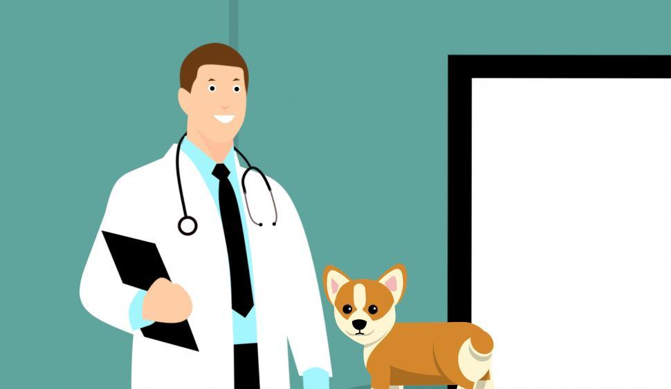 Free Image of animals clinic  