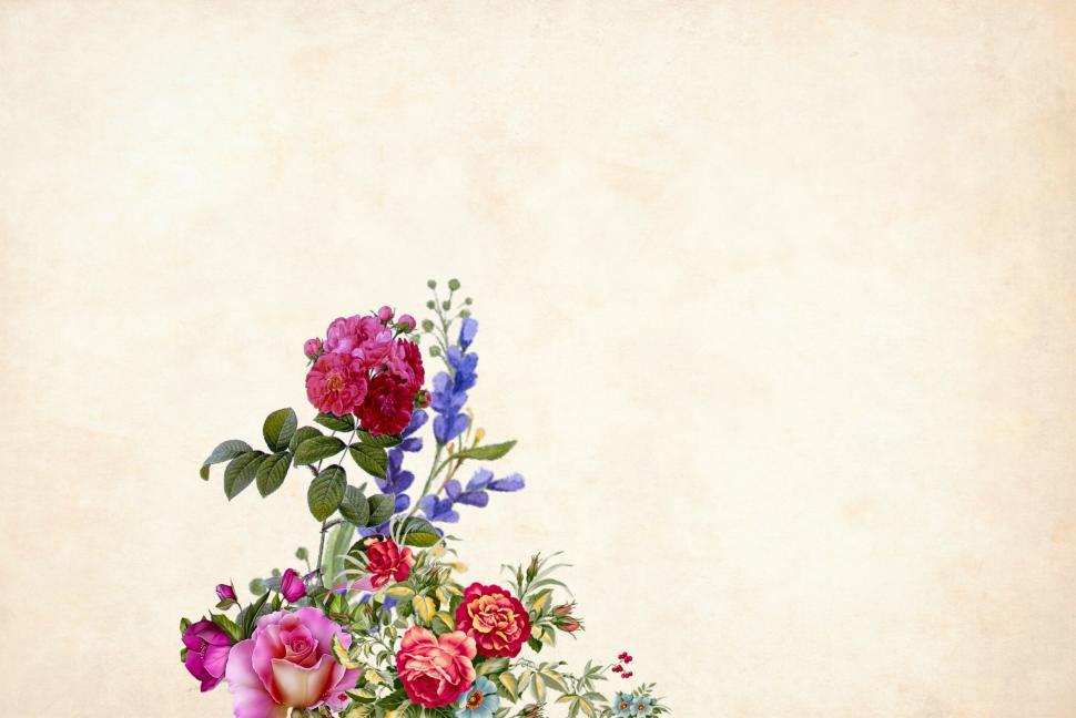 Free Image of flower Background - single flower 