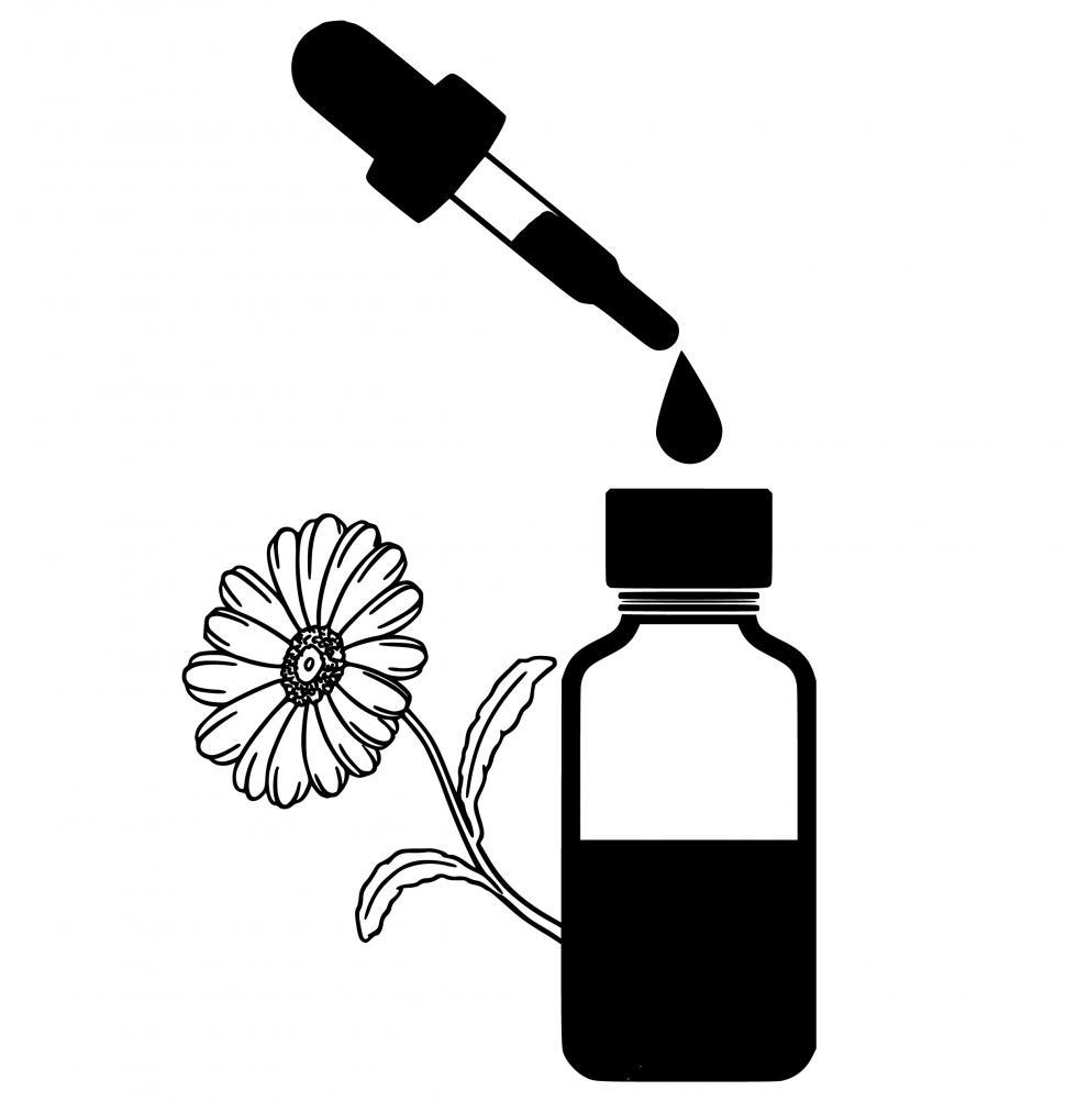 Free Image of chamomile essential oil  