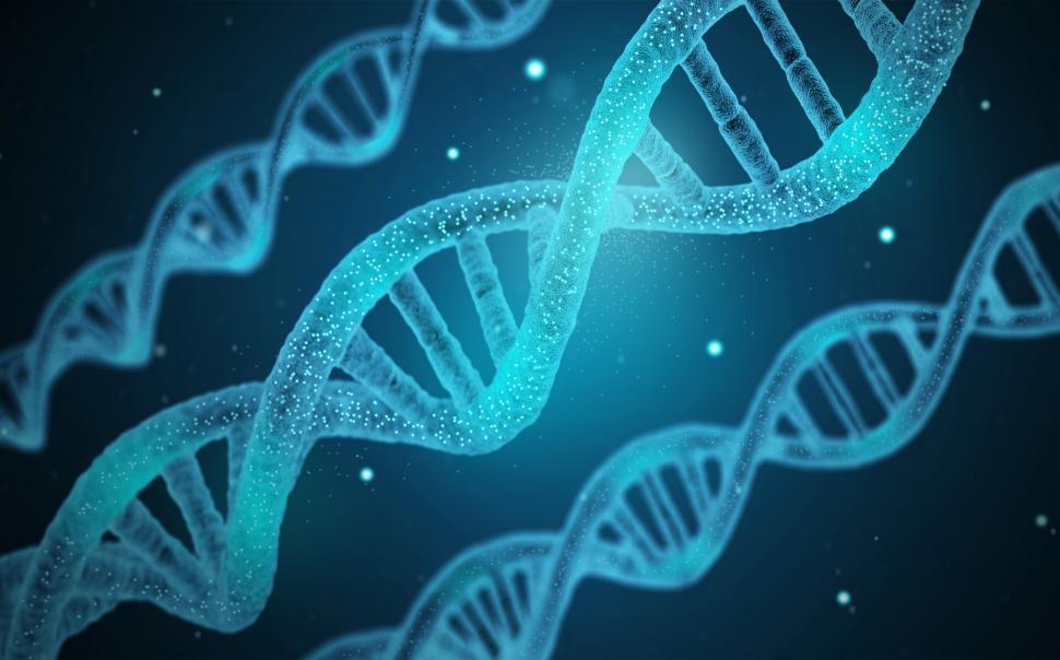 Free Image of DNA - Genetics - Genes  