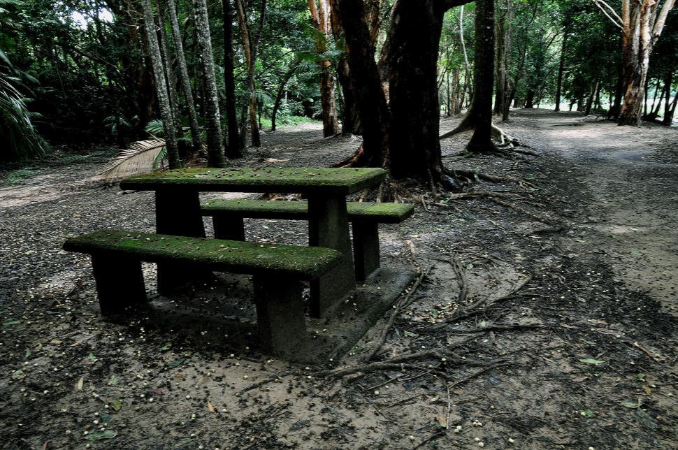 Free Image of Picnic 