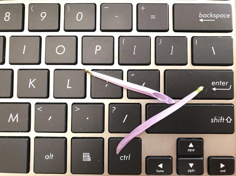 Free Image of Computer keyboard  