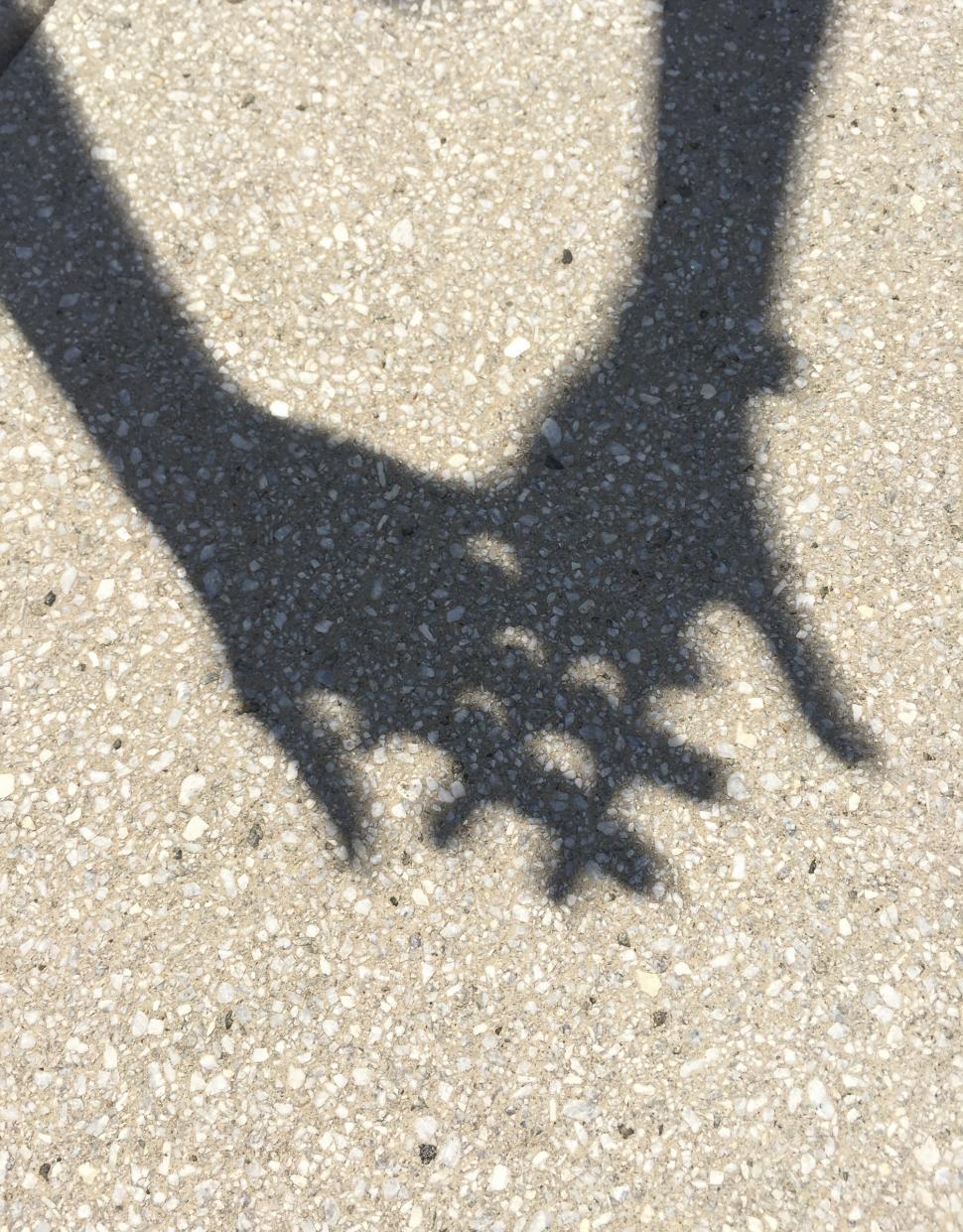 Free Image of Watching Solar Eclipse  