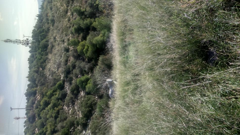 Free Image of nature  