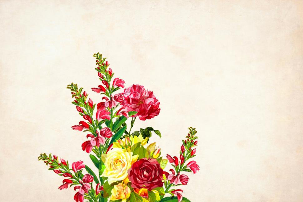 Free Image of Flower Background - Single Cluster 