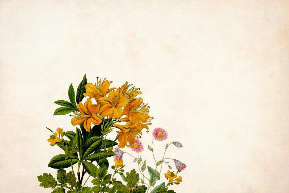 Free Image of Flower Background - Single Yellow Group 