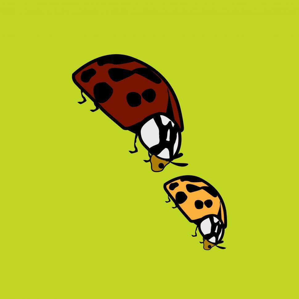 Free Image of Beetles vector icon 